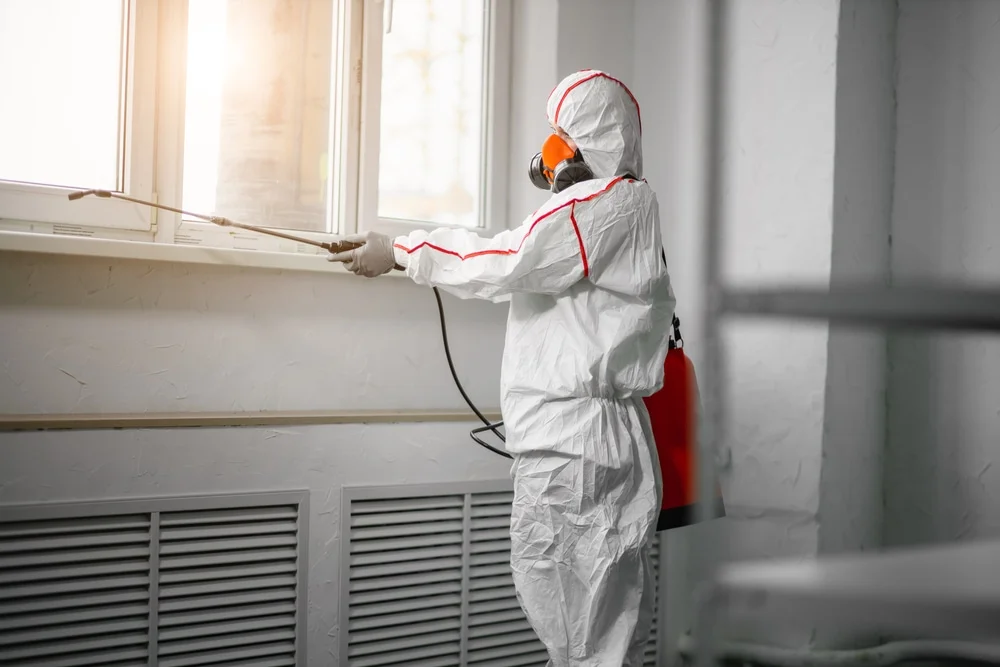 Professional mold remediation services in Newington, CT